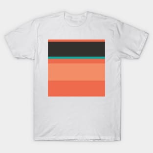 A solid association of Orange Pink, Faded Orange, Purple, Blue/Green and Dark Charcoal stripes. T-Shirt